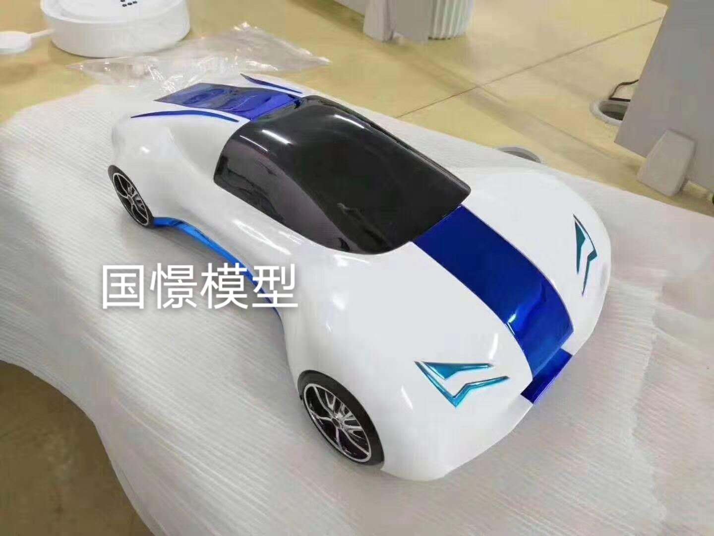 荔波县车辆模型