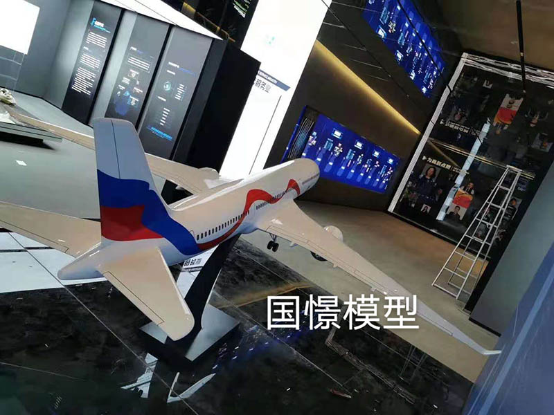 荔波县飞机模型